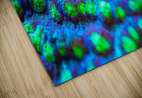 Deep Sea Anemone Nativ puzzle