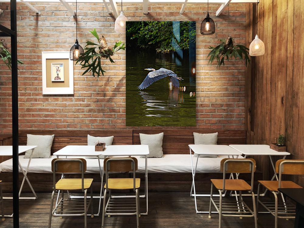 Heron Takes Flight Reproduction