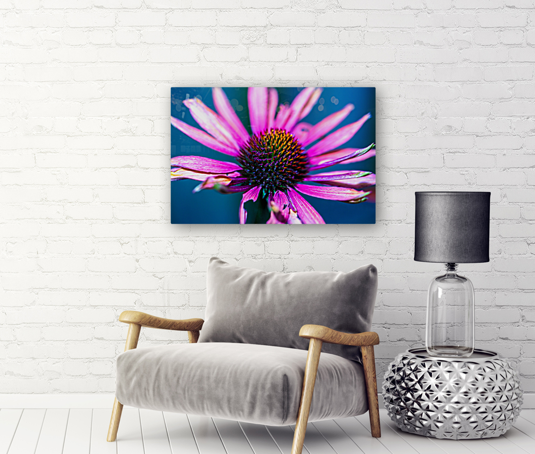 Purple Flower Reproduction