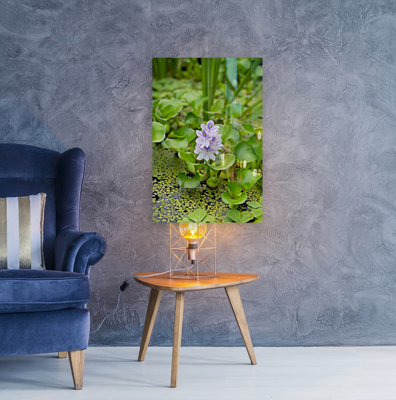 Little Water Reproduction