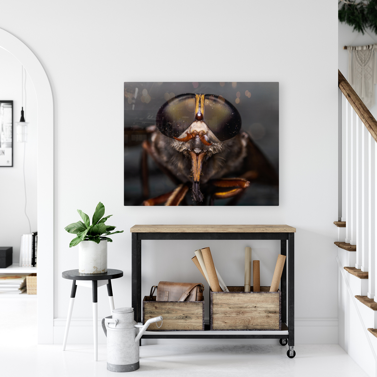 Macro Fly Reproduction