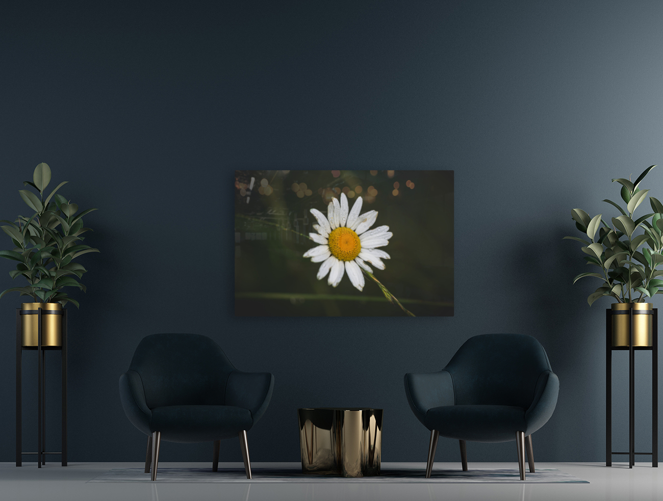 Not So Common Daisy Reproduction