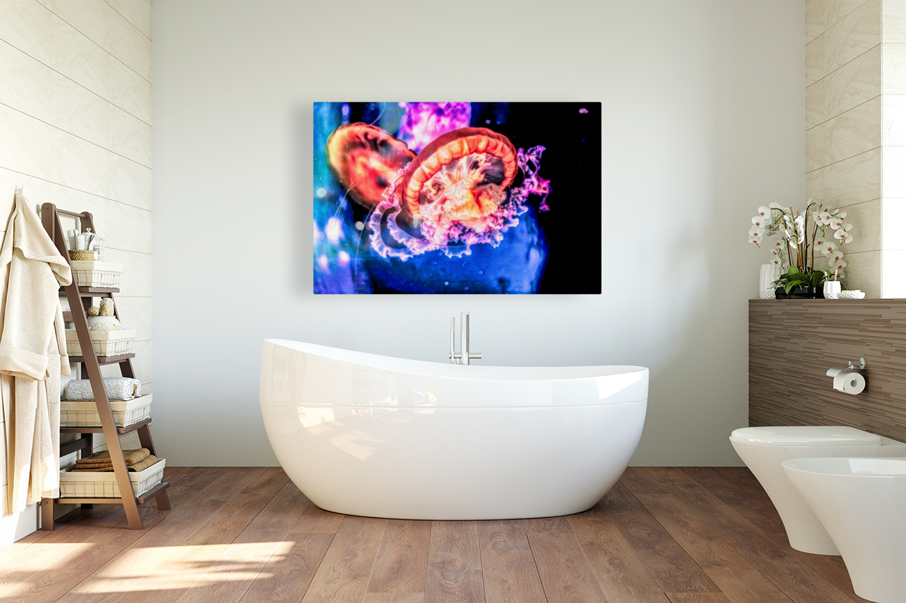 Im In Love With The Jellyfish Reproduction