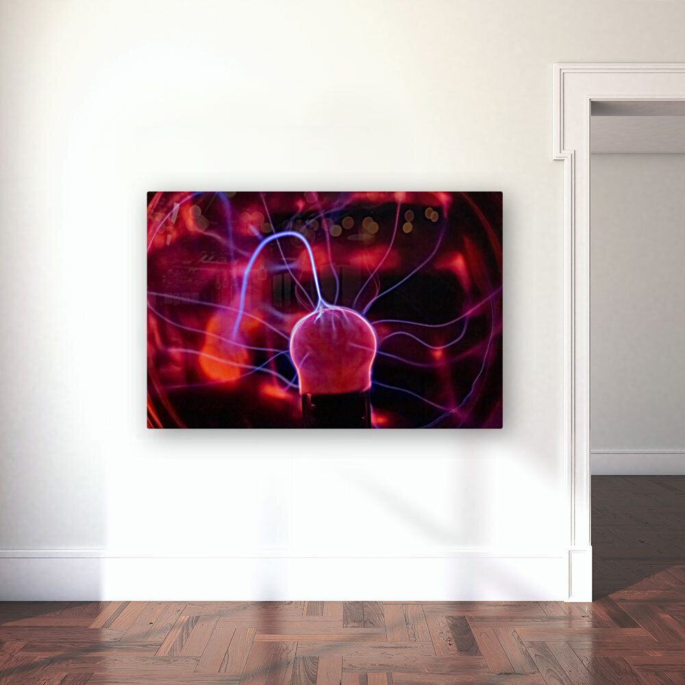 Electric Shock Reproduction