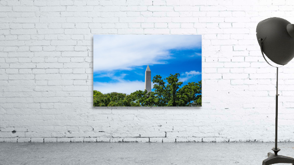 Distant D.C. Wall Preview