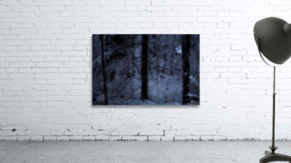 Quiet Snowfall Wall Preview