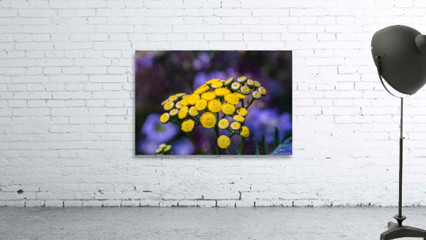 A Natural Bouquet Wall Preview