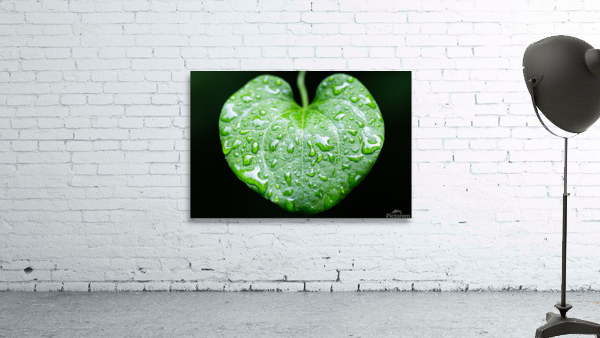 Simple Rain Wall Preview