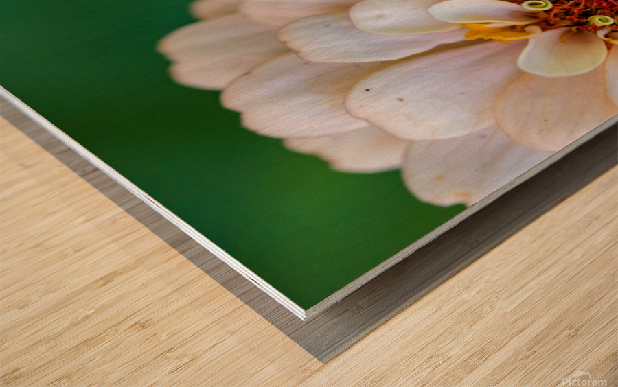 Sweet Flower Wood print