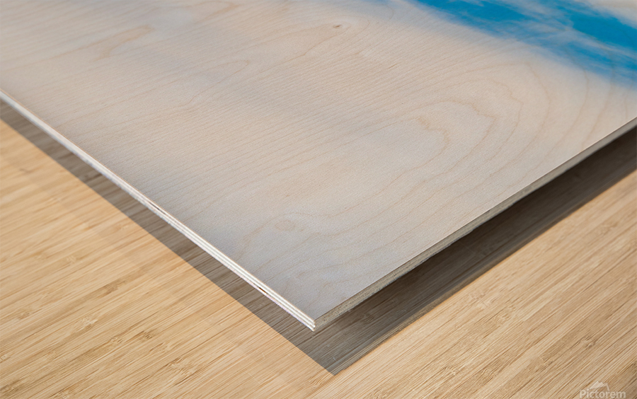 Distant D.C. Wood print