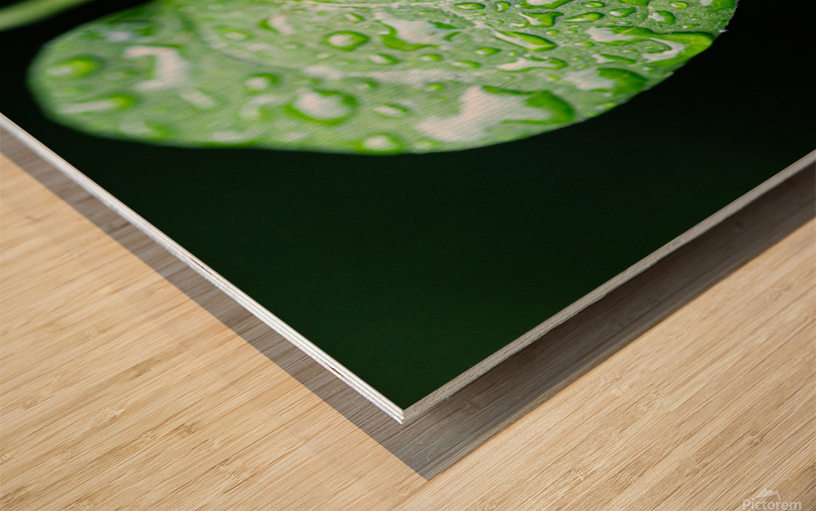 Simple Rain Wood print