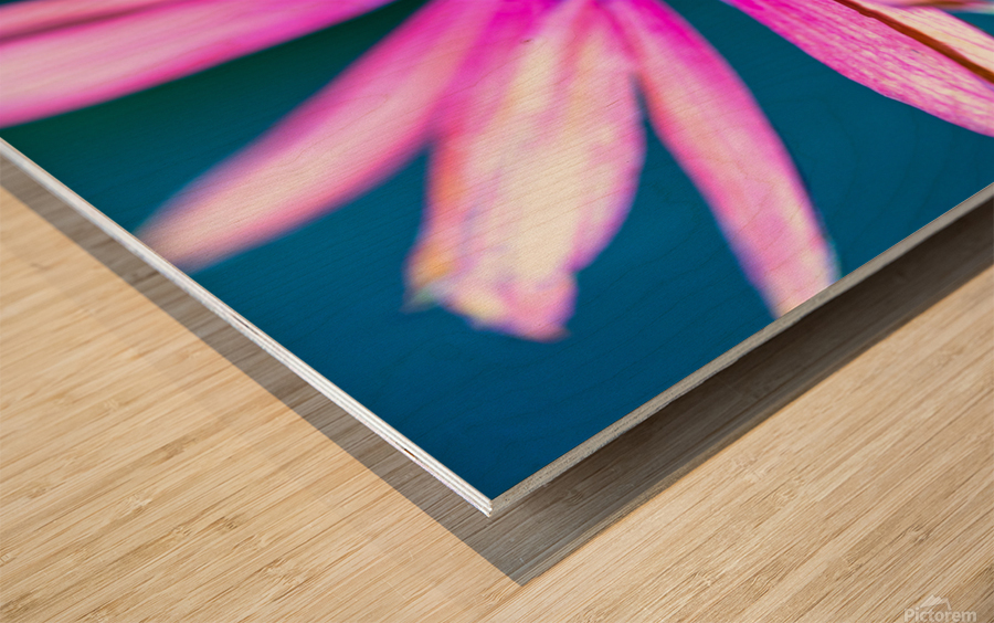 Purple Flower Wood print