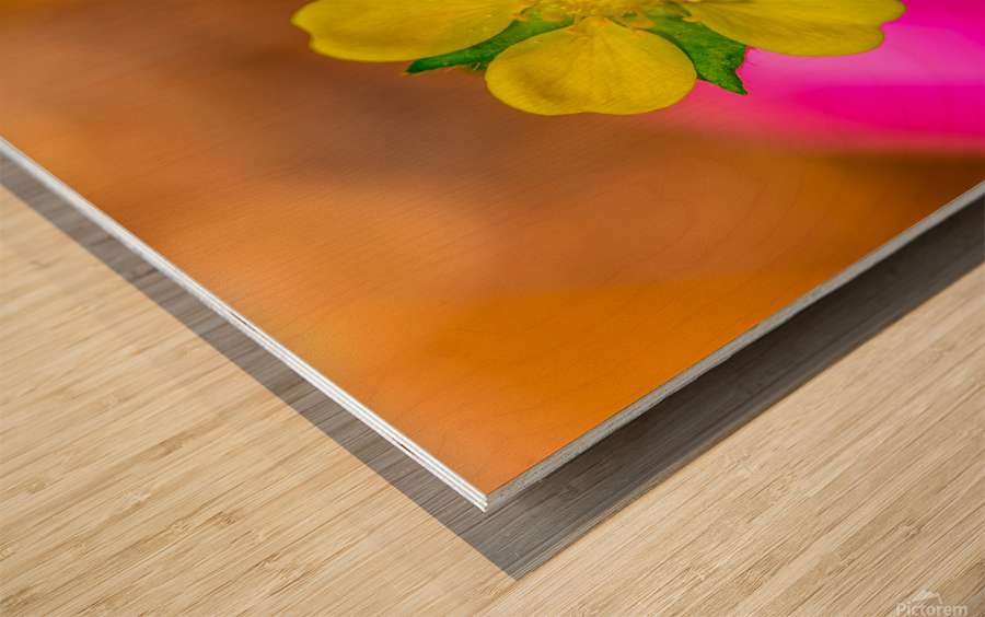 On a Mission Wood print