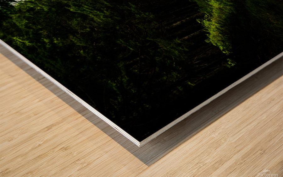 Roads After Rains Wood print