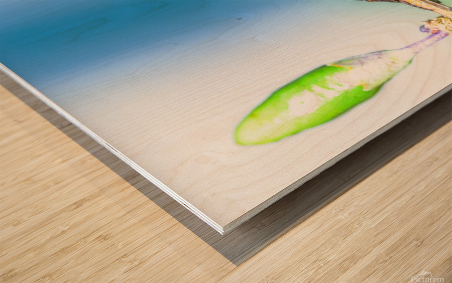 Life Cycle Impression sur bois