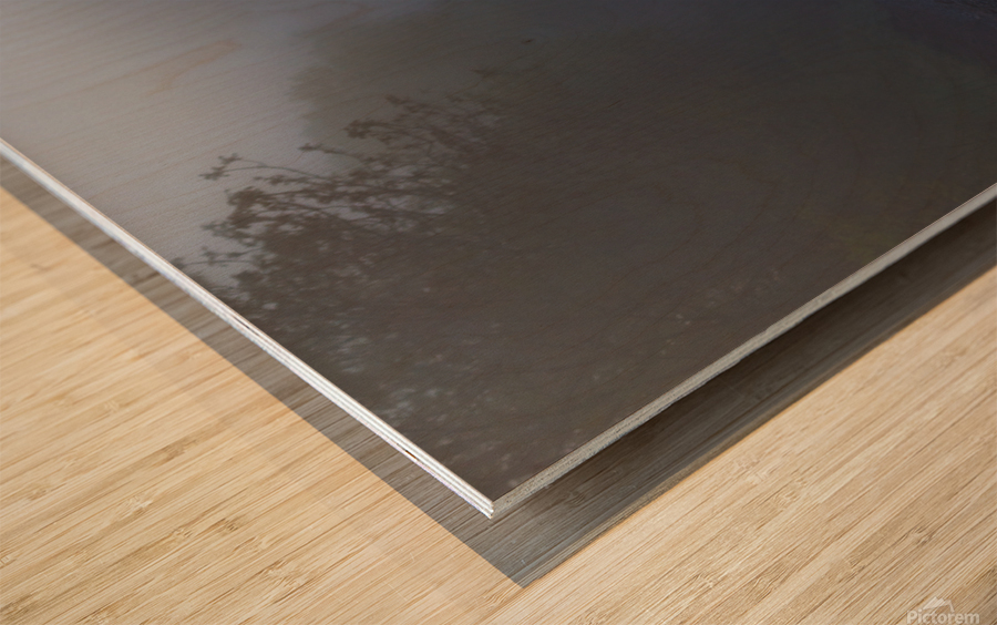 Early Morning Train Tracks Impression sur bois