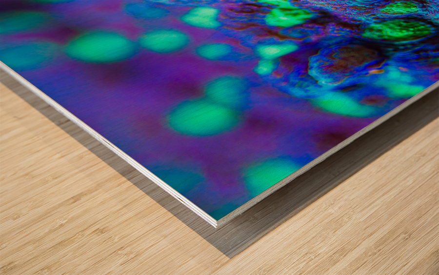 Deep Sea Anemone Wood print