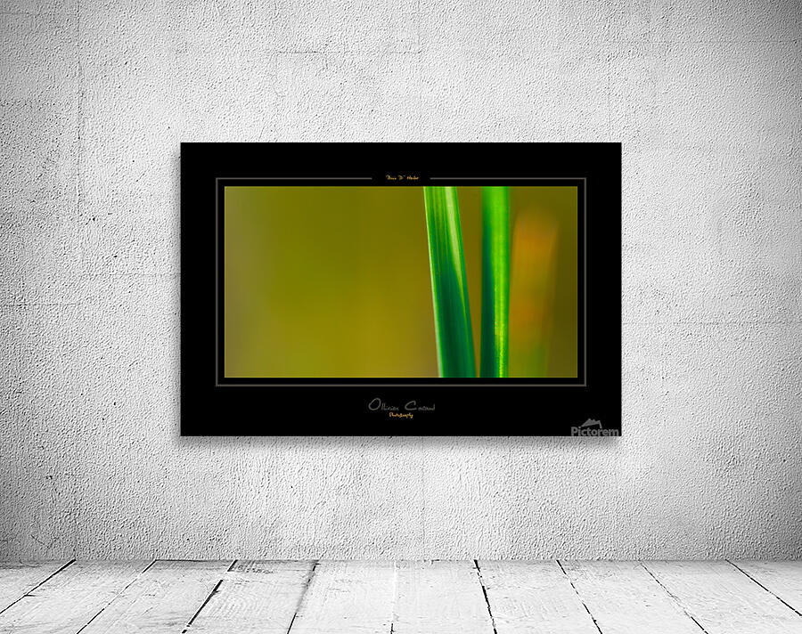 brin d herbe Wall Preview