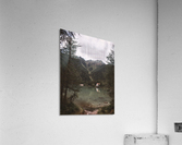 Out Of Nowhere Acrylic Print