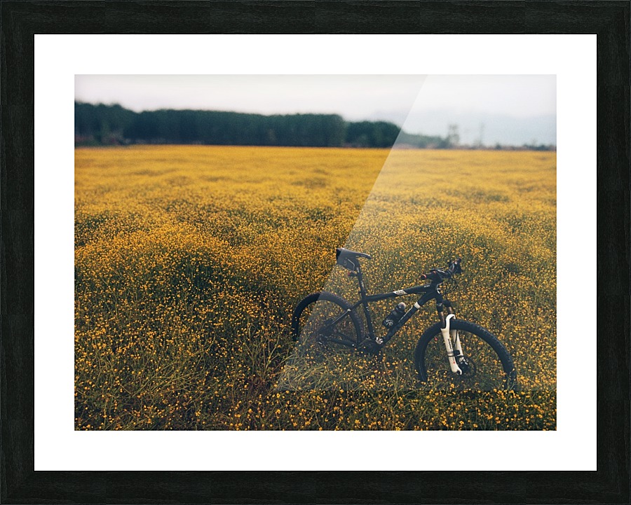 Bicycle in the Landscape Picture Frame print