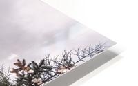 Out Of Nowhere HD Metal print