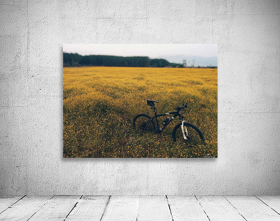 Bicycle in the Landscape Wall Preview