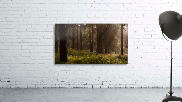 Deep in the Forest Wall Preview