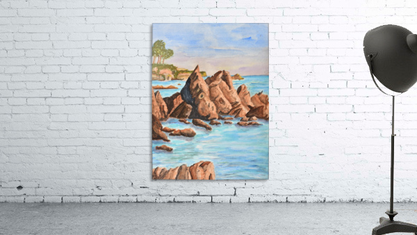 Squid Rock Wall Preview