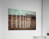  GIO1399 Acrylic Print