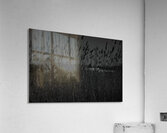 GIO00450 Acrylic Print