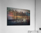  GIO1419 Acrylic Print