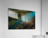 GIO00235 Acrylic Print