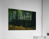 GIO00465 Acrylic Print