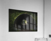 GIO00488 Acrylic Print