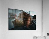 GIO00341 Acrylic Print