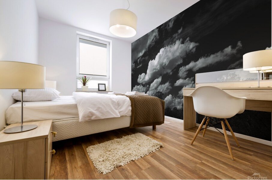  GIO1508 Mural print