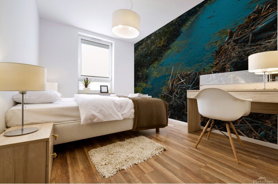GIO00235 Mural print