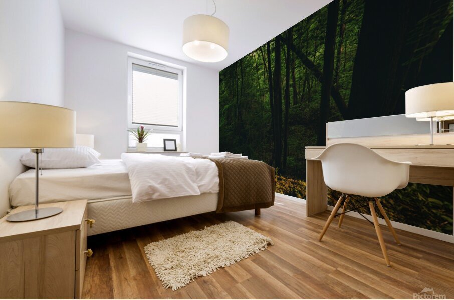GIO00465 Mural print