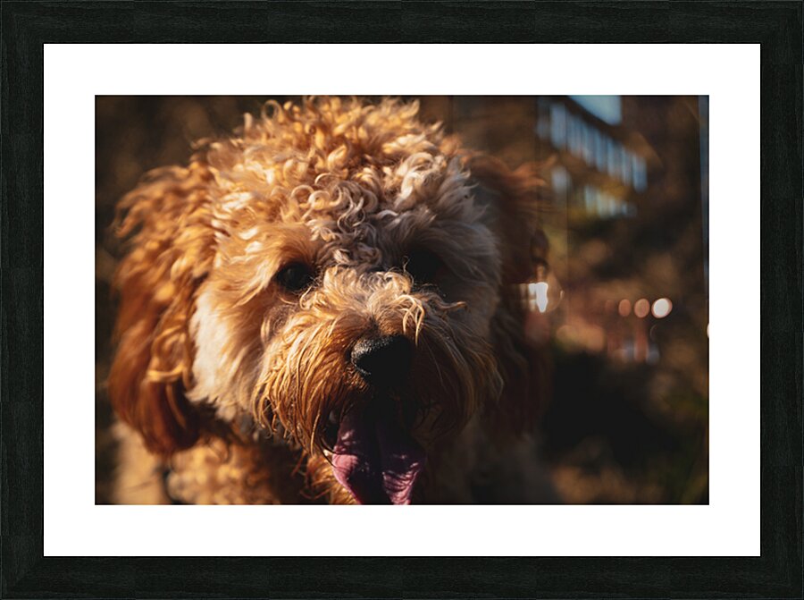 GIO00803 Picture Frame print