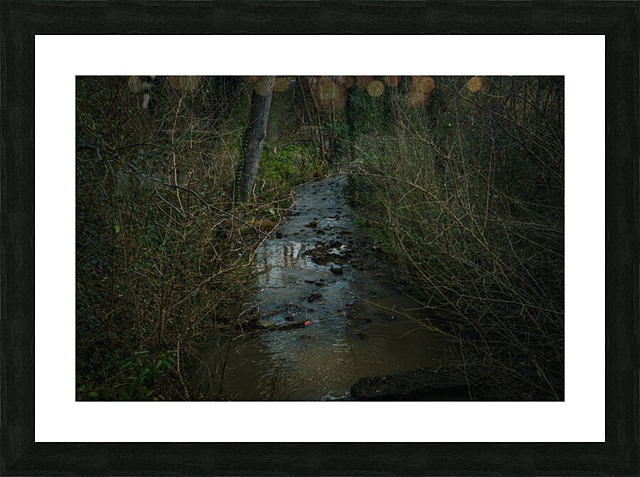  Fine Art print