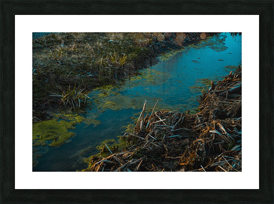  Fine Art print