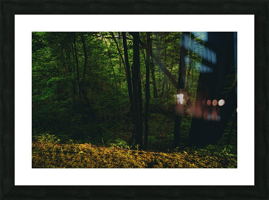 GIO00465 Picture Frame print