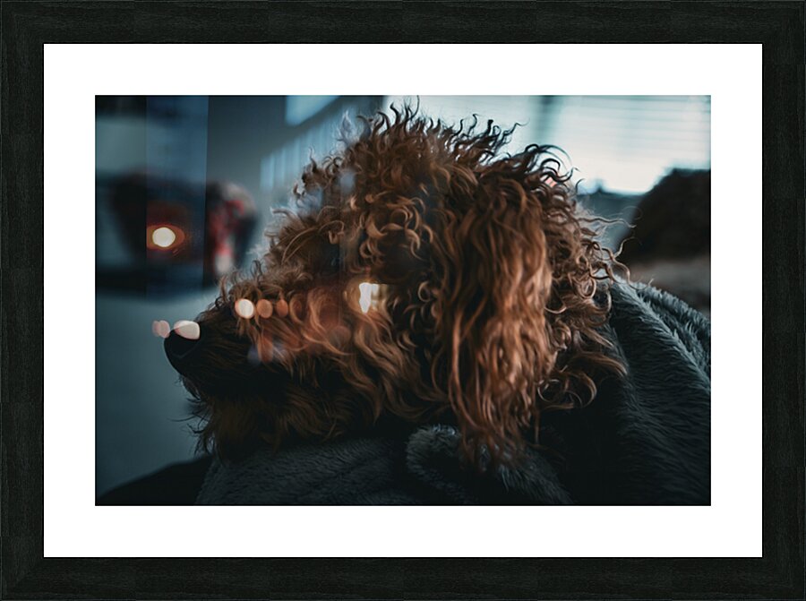 GIO00341 Picture Frame print