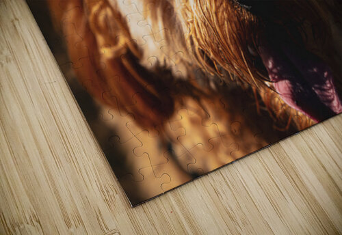 GIO00803 giovoni jackson puzzle