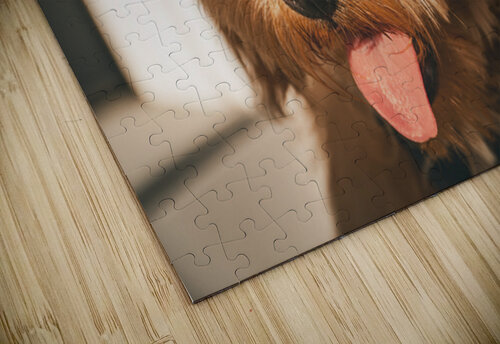 GIO00208 giovoni jackson puzzle