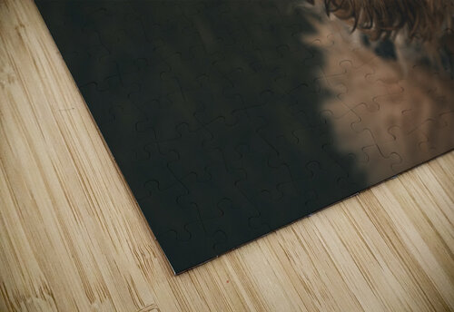 oni up giovoni jackson puzzle