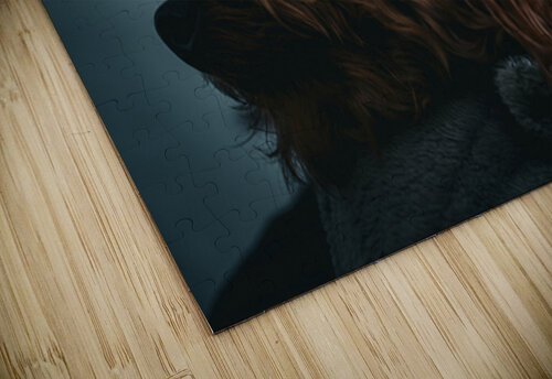 GIO00341 giovoni jackson puzzle