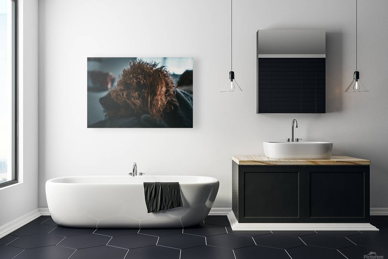 GIO00341 Reproduction