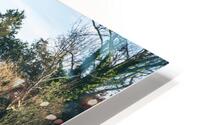  GIO1384 HD Metal print