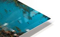 GIO00235 HD Metal print